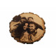 Vintage Fotogravur auf Baumscheibe Bild auf Rindenscheibe Graviert Personalisiert Porträt Familie Rustikal Geschenk Geburtstag