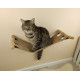 Natürliche KATZENHÄNGEMATTE mit Wandhalterung aus ASTHOLZ Gemütliche Katzenliege aus Wildholz Ruheplatz Hängematte Katze
